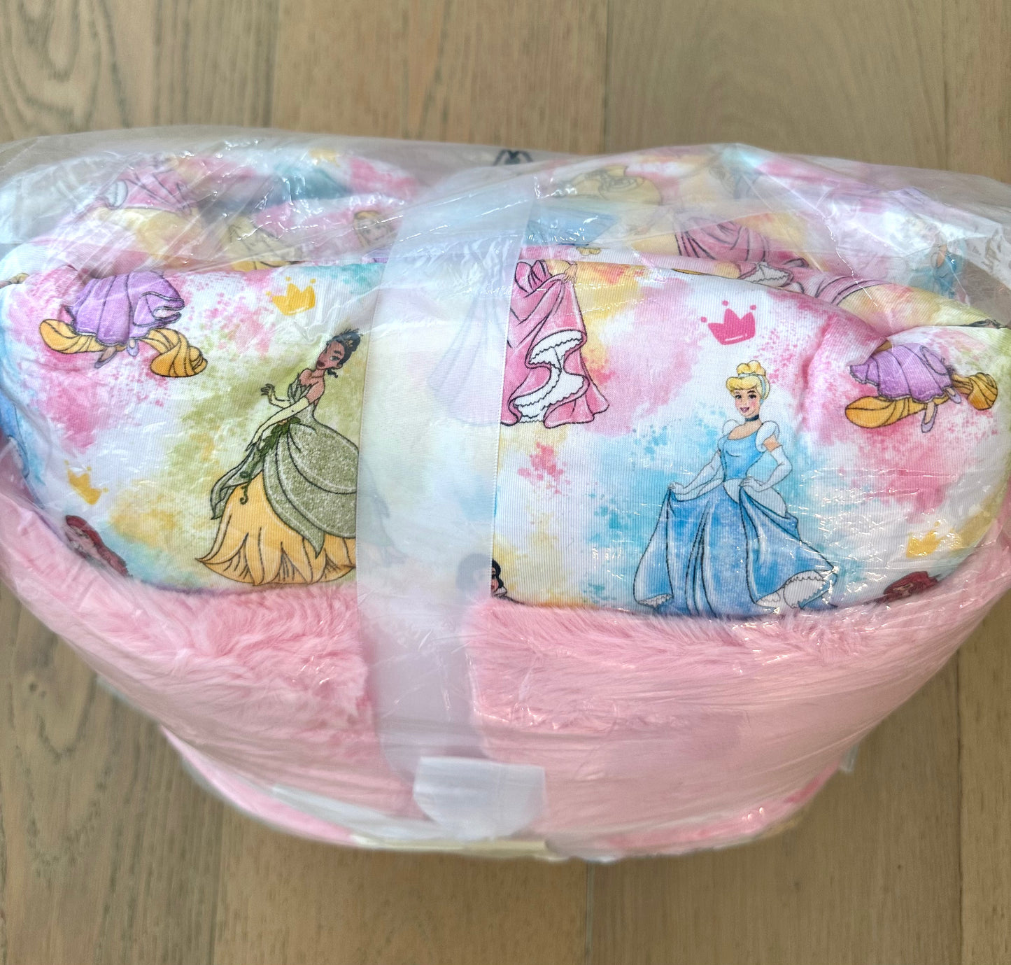 Large Minky Lush Blanket 50x65- MAGIC MOMENTS PRINCESS CHARM