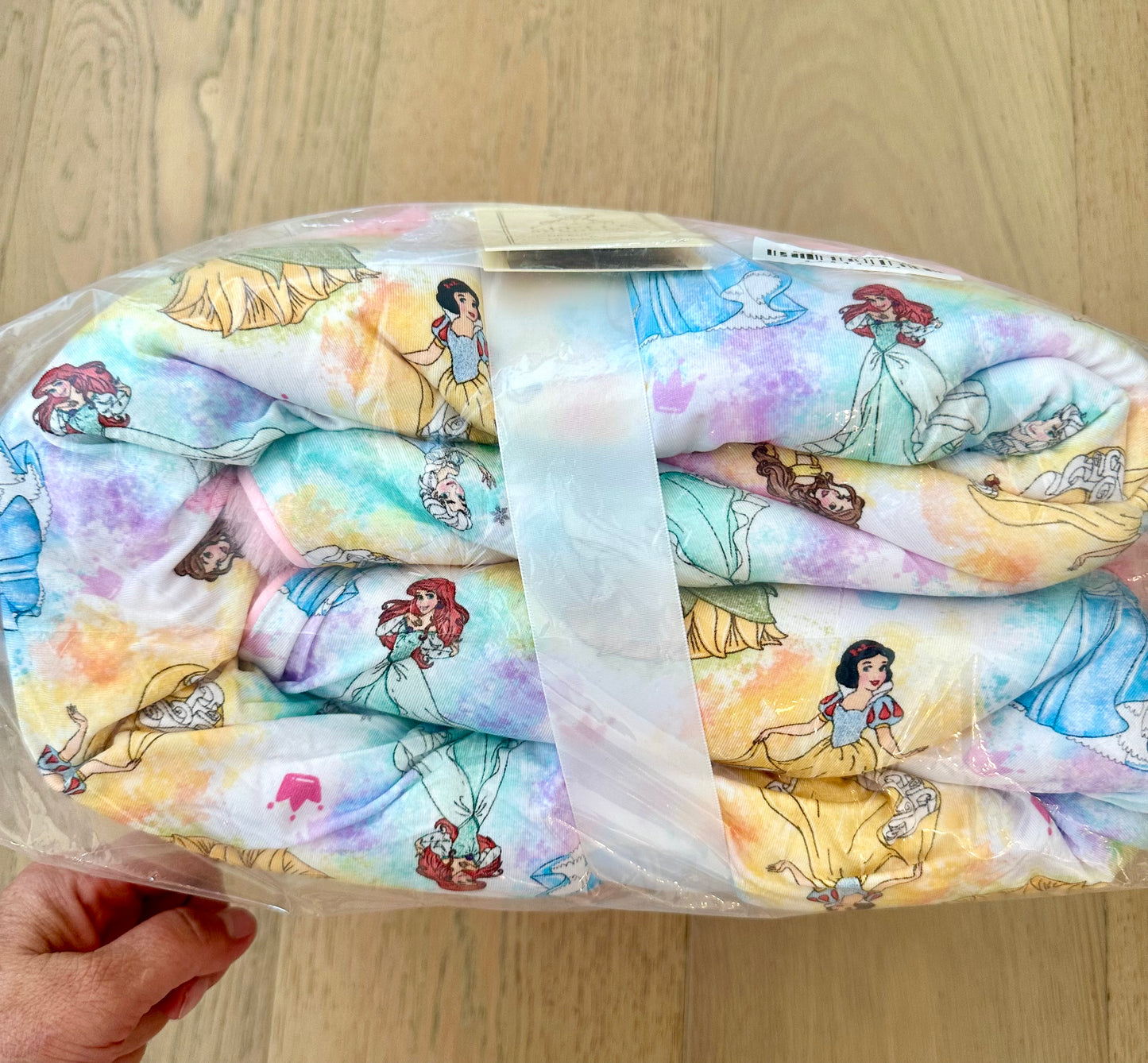 Large Minky Lush Blanket 50x65- MAGIC MOMENTS PRINCESS CHARM