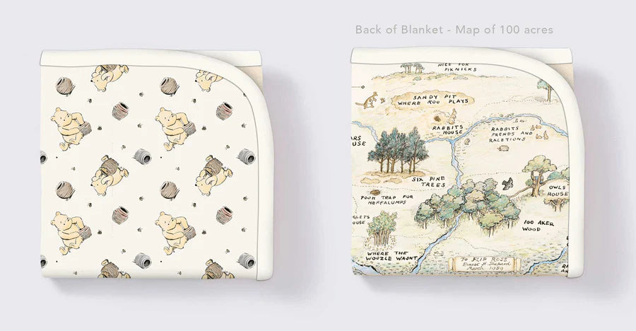 2 Layer Bamboo Blankets 50x50-CLASSIC POOH REVERSIBLE