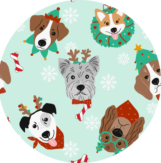 Bamboo Zippy Romper (CONNOR)- MERRY & BRIGHT FESTIVE DOGS