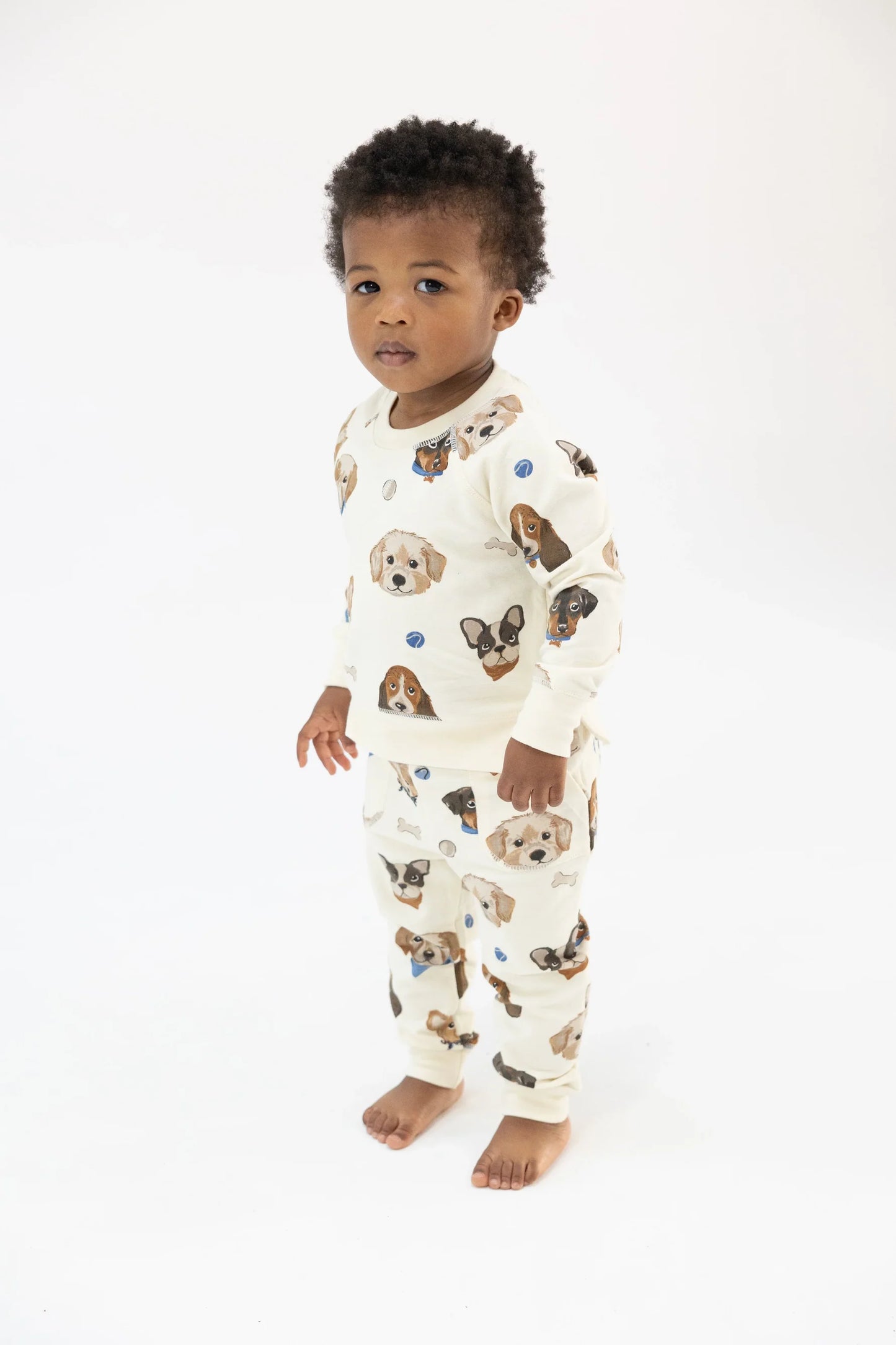 French Terry Raglan Sweatshirt and Jogger Set- VINTAGE PUPPY FACES