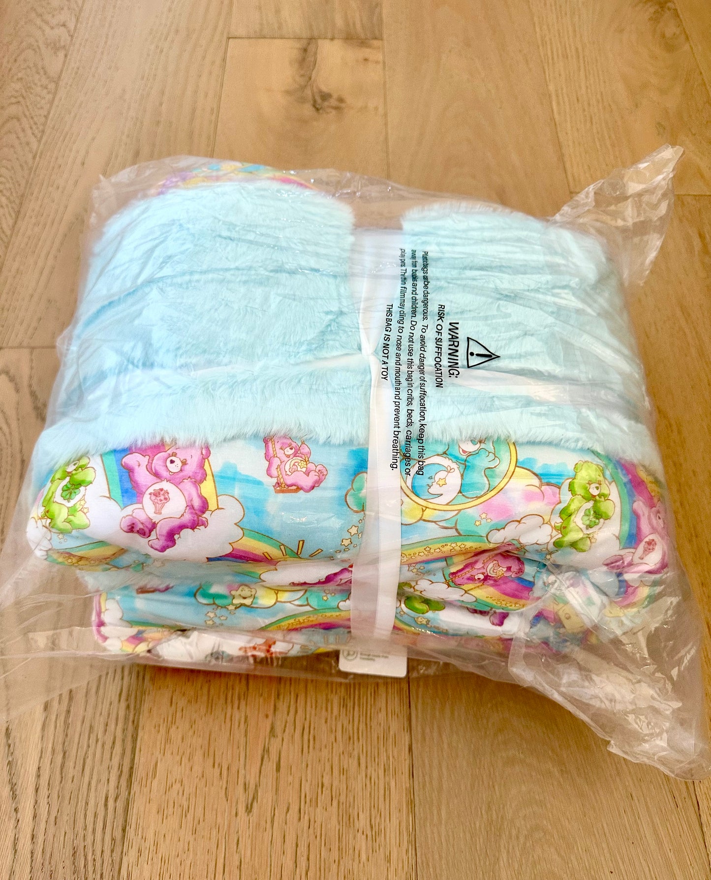 Large Minky Lush Blanket 50x65- BIG WISH CARE BEARS