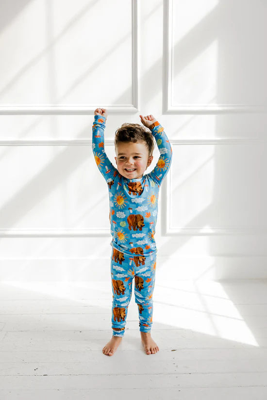 2pc Dream Set- ERIC CARLE BEAR-Y BLUE SKIES