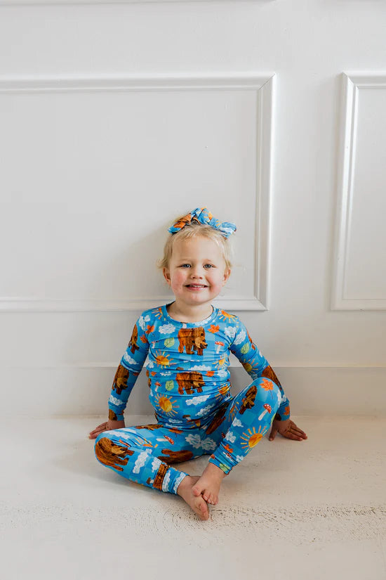 2pc Dream Set- ERIC CARLE BEAR-Y BLUE SKIES