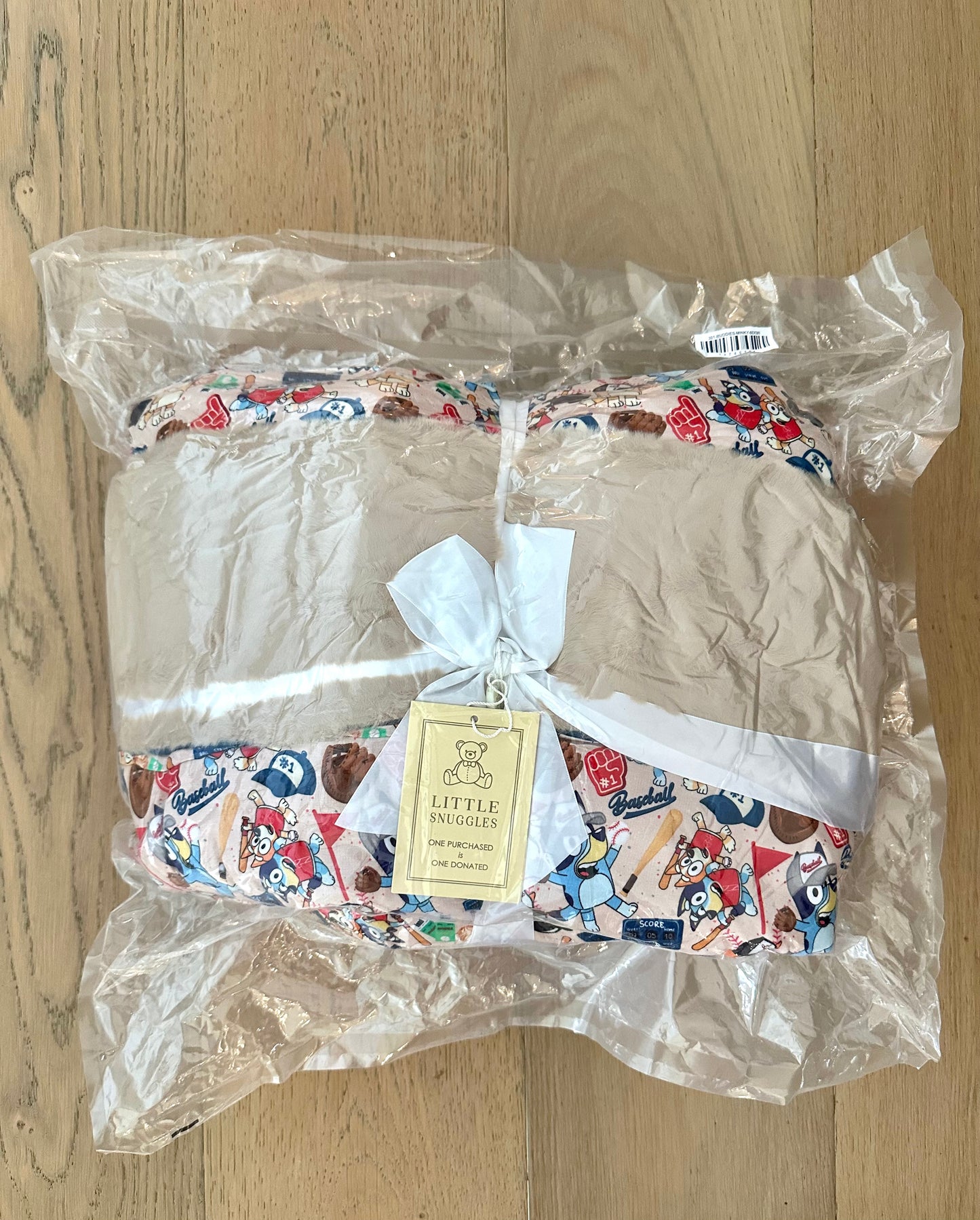 Large Minky Lush Blanket 60x80- SPRING FEVER BASEBALL BUDDIES