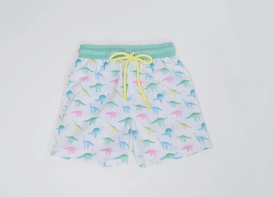 Swoon Baby Boy Swim Shorts -Watercolor Dino