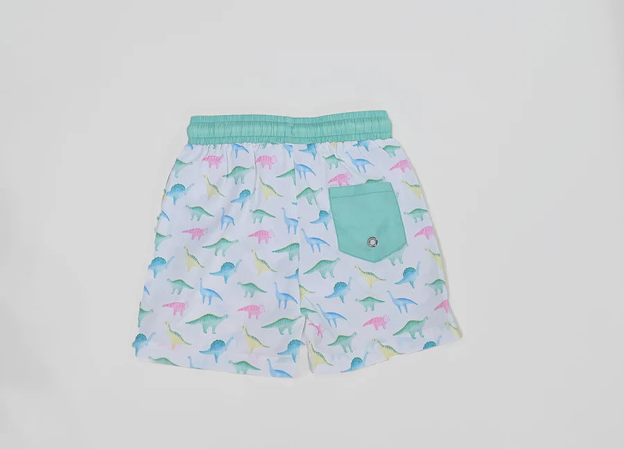 Swoon Baby Boy Swim Shorts -Watercolor Dino