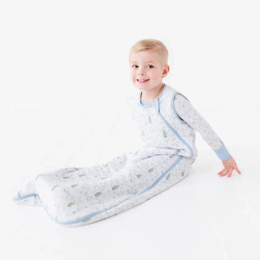 Dressed To the Tee Sleep Bag - Blue: 6-18 Months